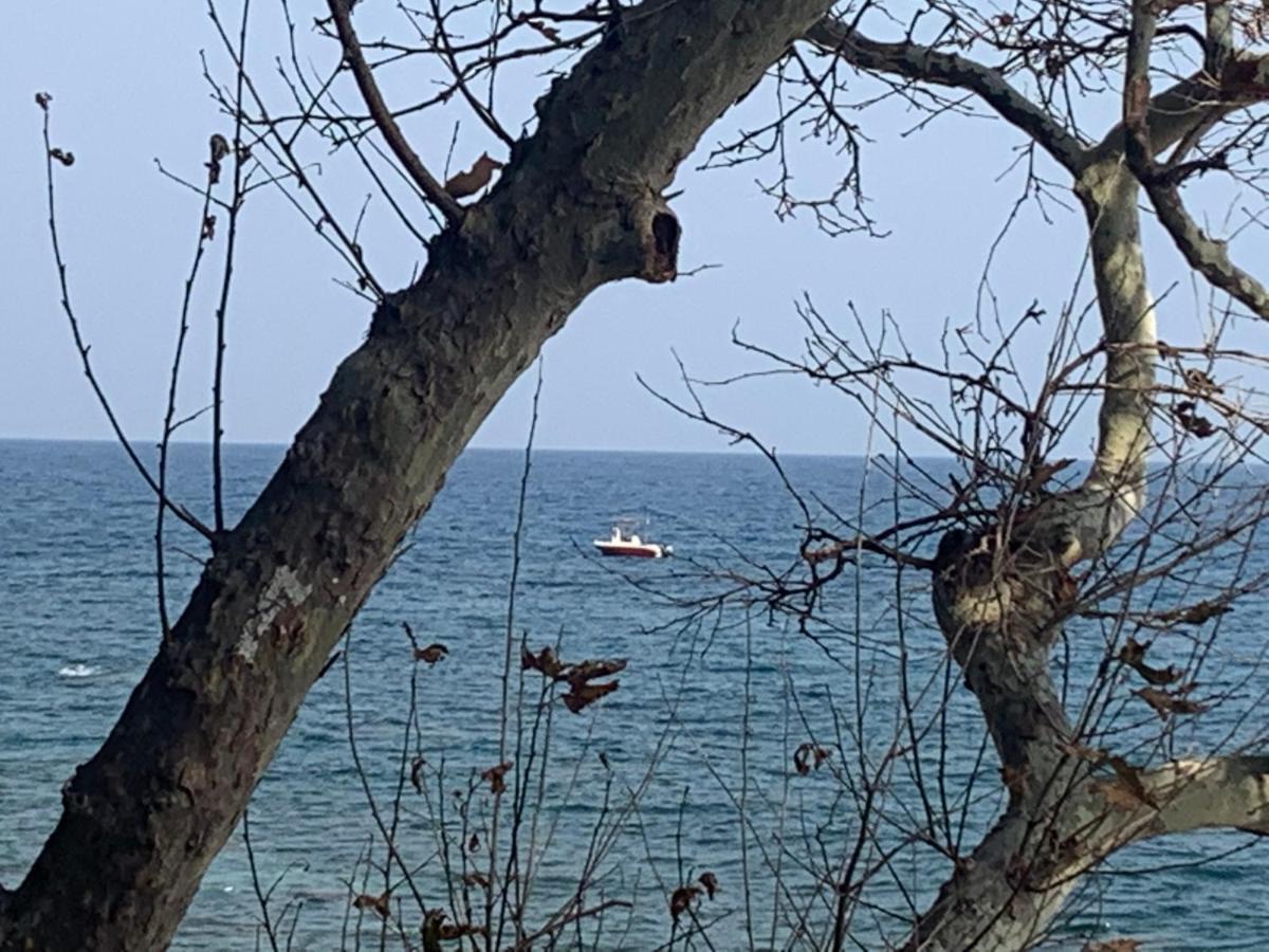 차가라다 Pelion 7 Lives 빌라 외부 사진