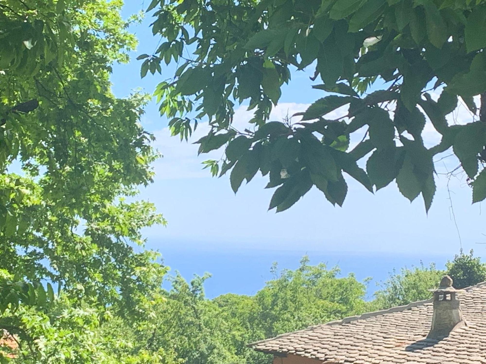 차가라다 Pelion 7 Lives 빌라 외부 사진